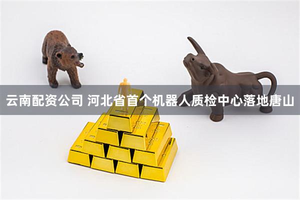 云南配资公司 河北省首个机器人质检中心落地唐山
